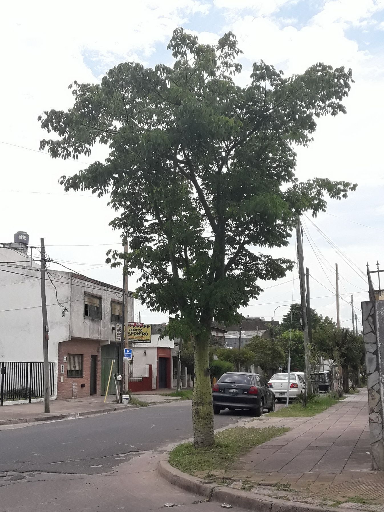 amigos