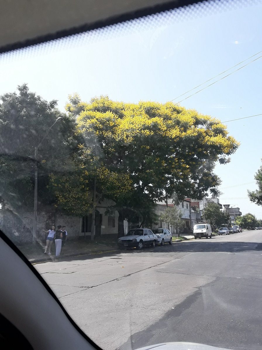 bello1