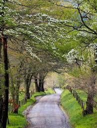 caminos11