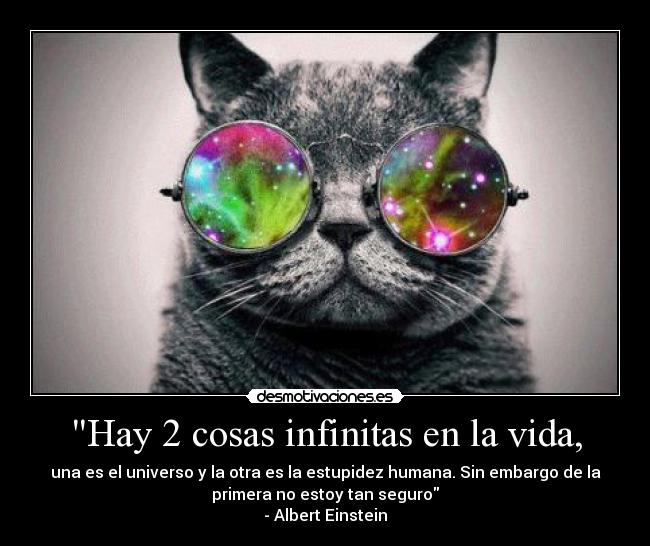 estupidez
