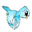 pajarito