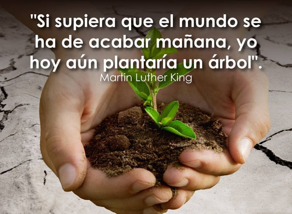 plantaría