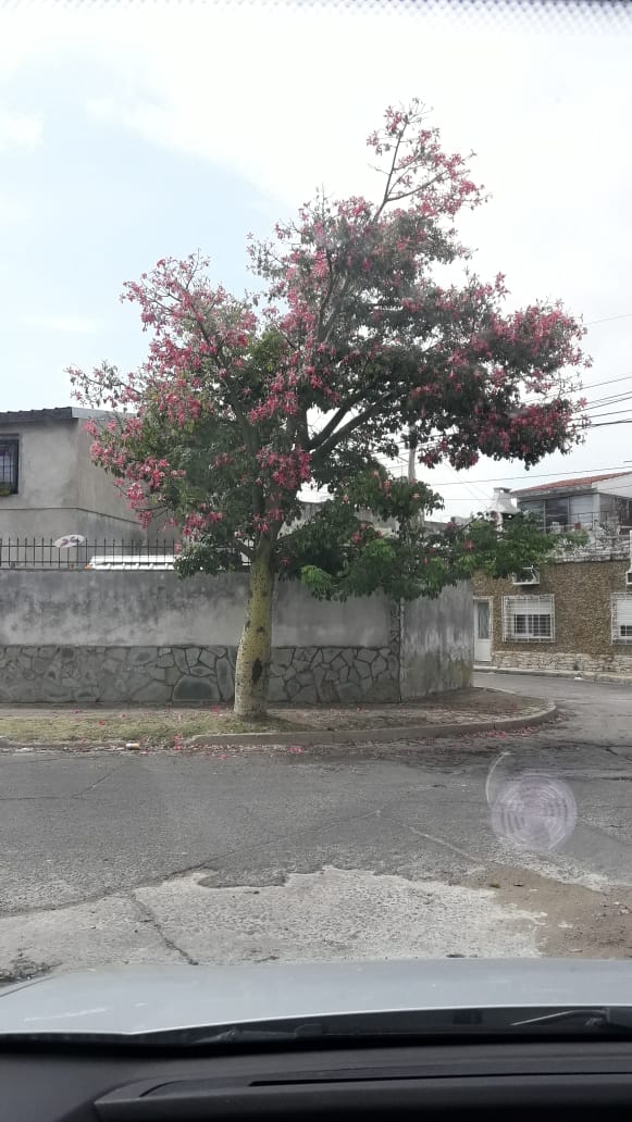 vecinooo